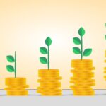 Como montar uma carteira de investimentos diversificada